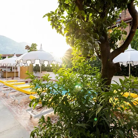 Hotel Yonca Anjelika *